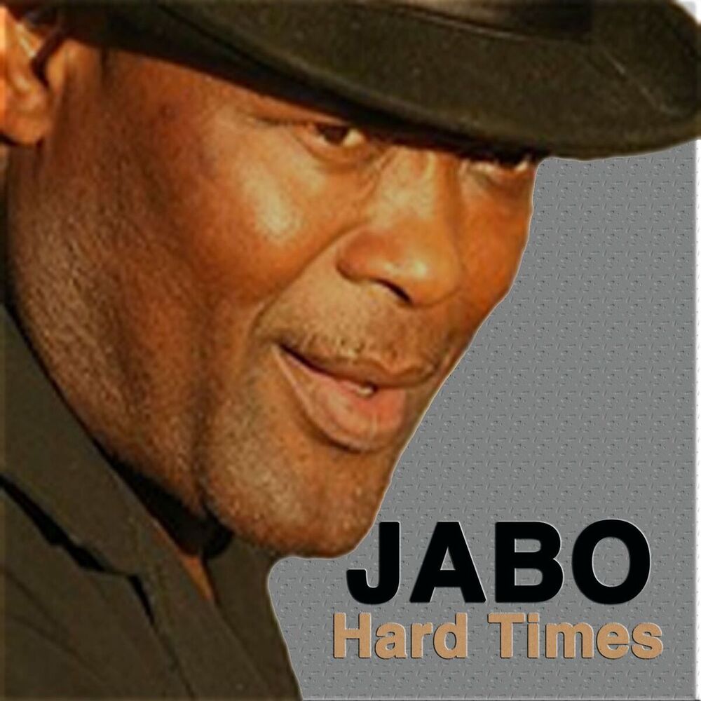 Picture of Hard Times