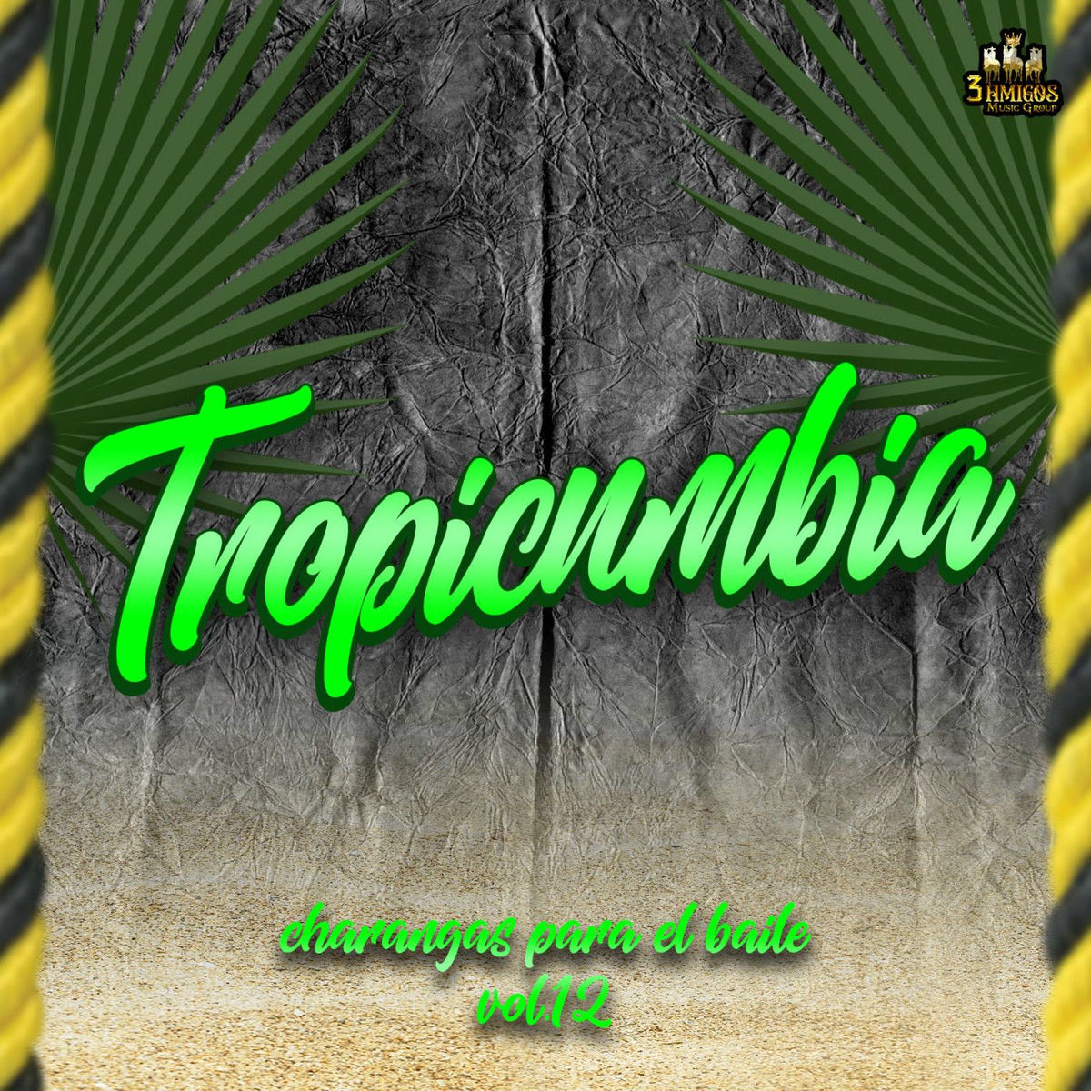 Album cover of Charangas Para El Baile Vol, 12