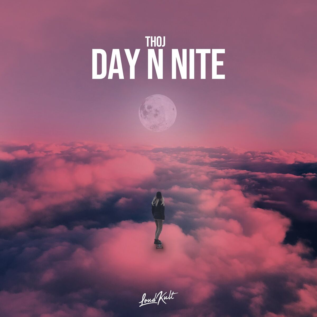 Album cover of Day n Nite