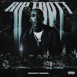 Cover of RIP TDOTT