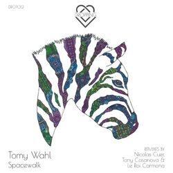Cover of Spacewalk