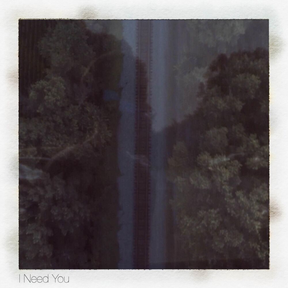 Picture of I Need You
