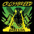 Darkside