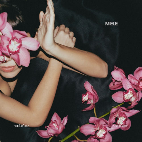 Miele