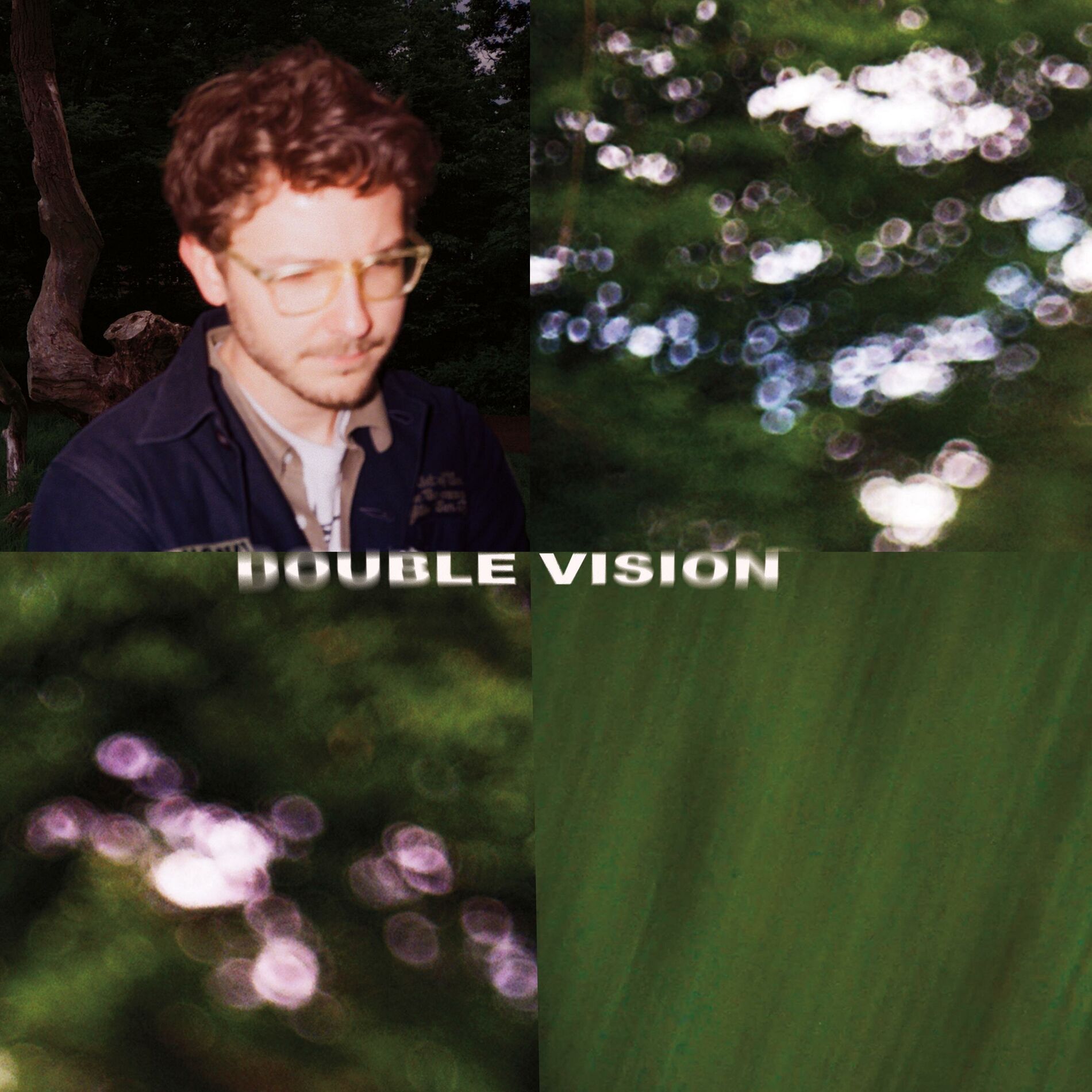 Album cover of Double Vision