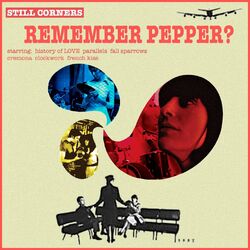 Cover of Remember Pepper?