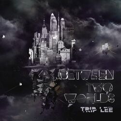 Cover of Between Two Worlds