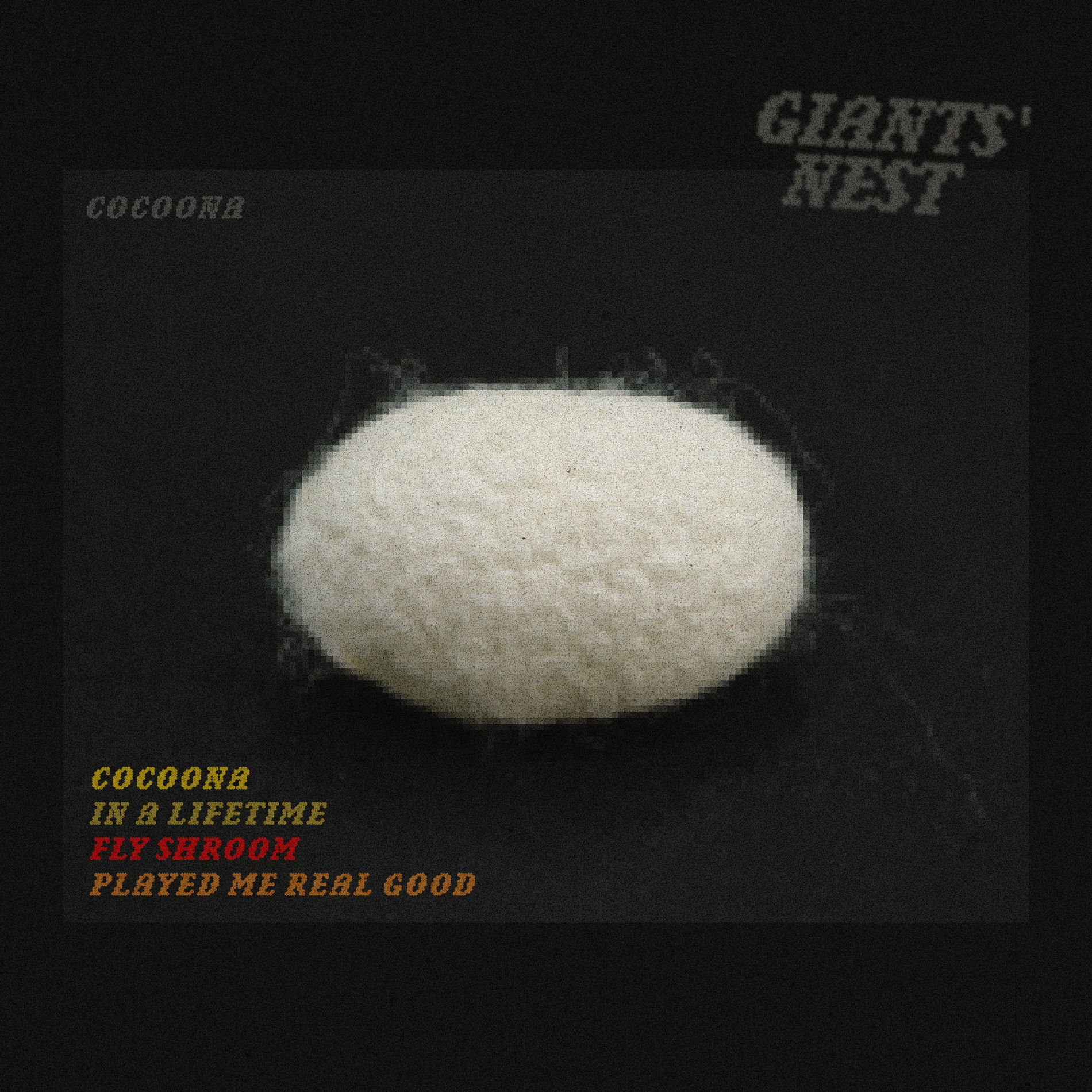 Album cover of Cocoona