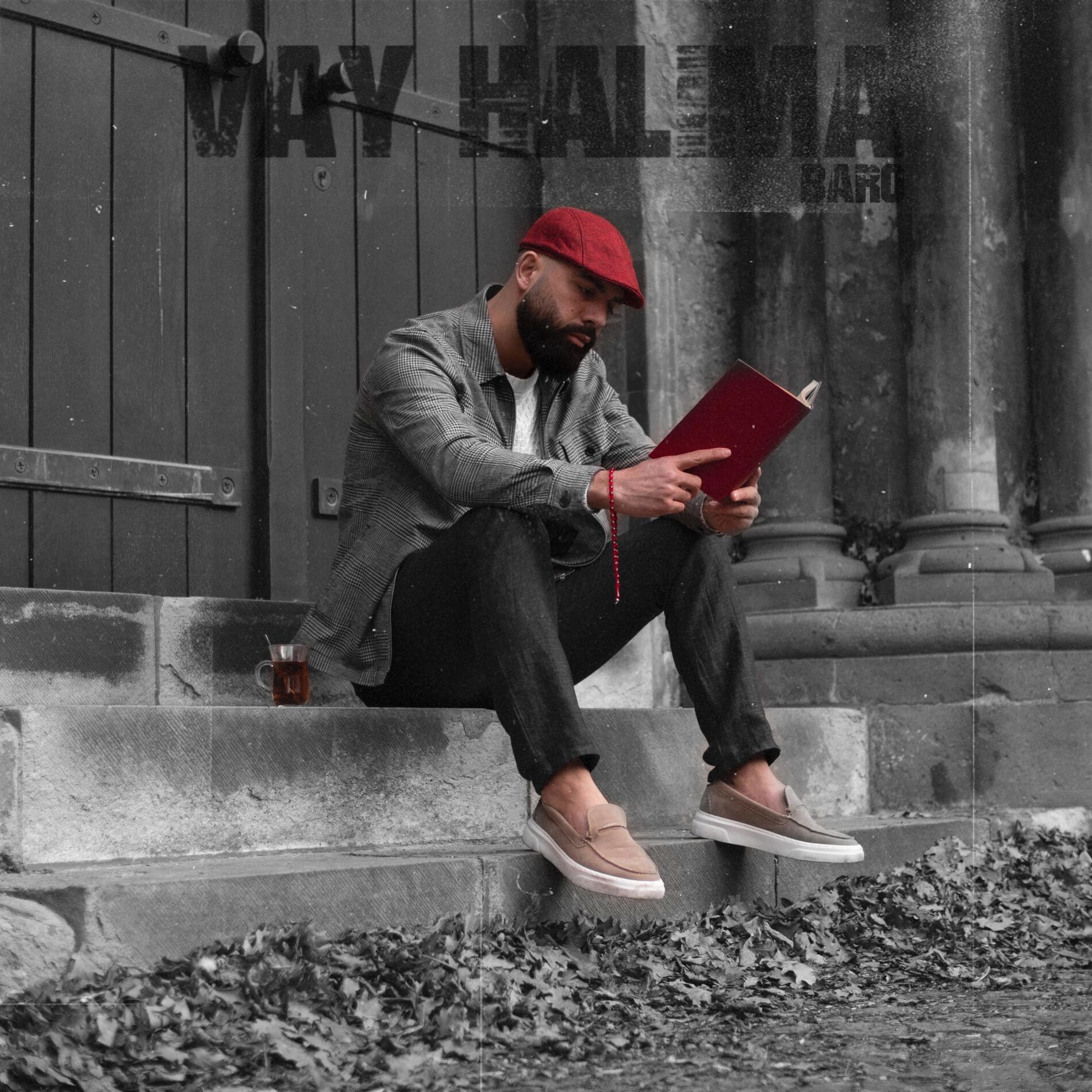 Album cover of VAY HALIMA