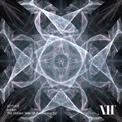 Cover of The Hidden Side Of Awareness