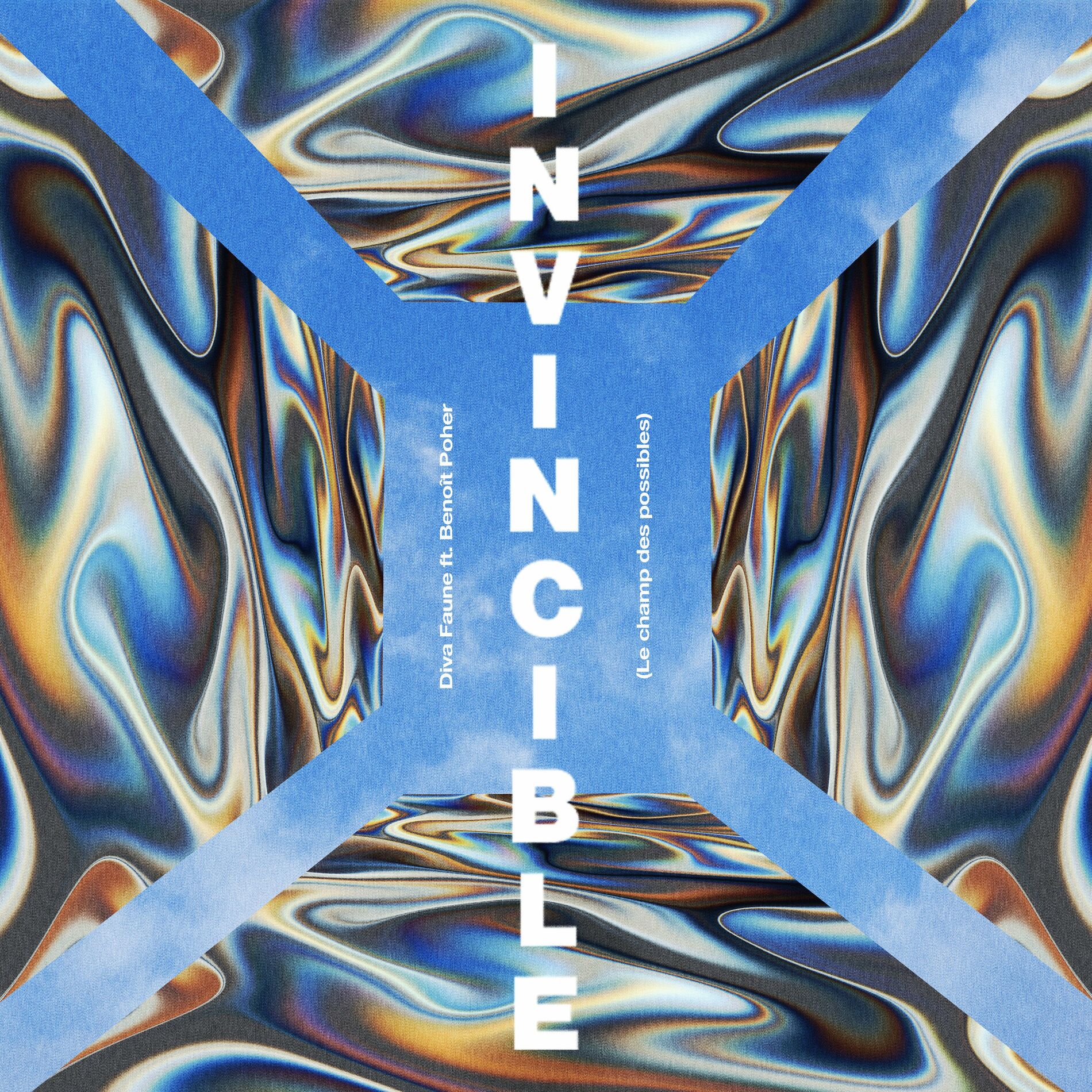 Album picture of Invincible (Le champ des possibles)