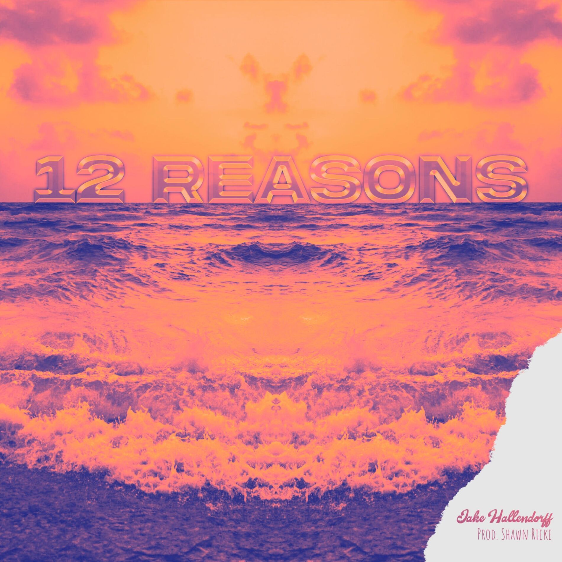 Album cover of 12 Reasons