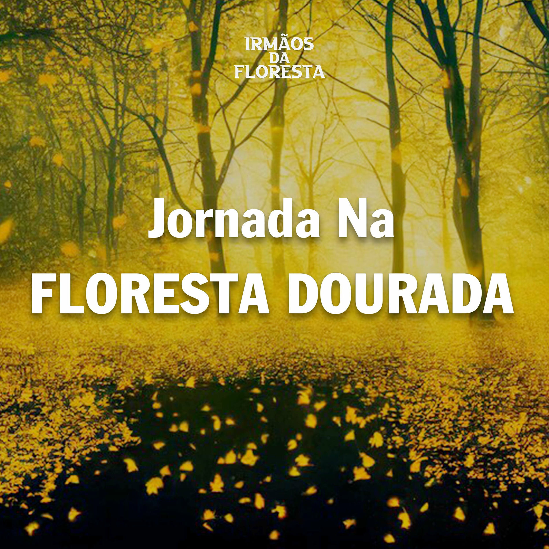 Album cover of Jornada na Floresta Dourada