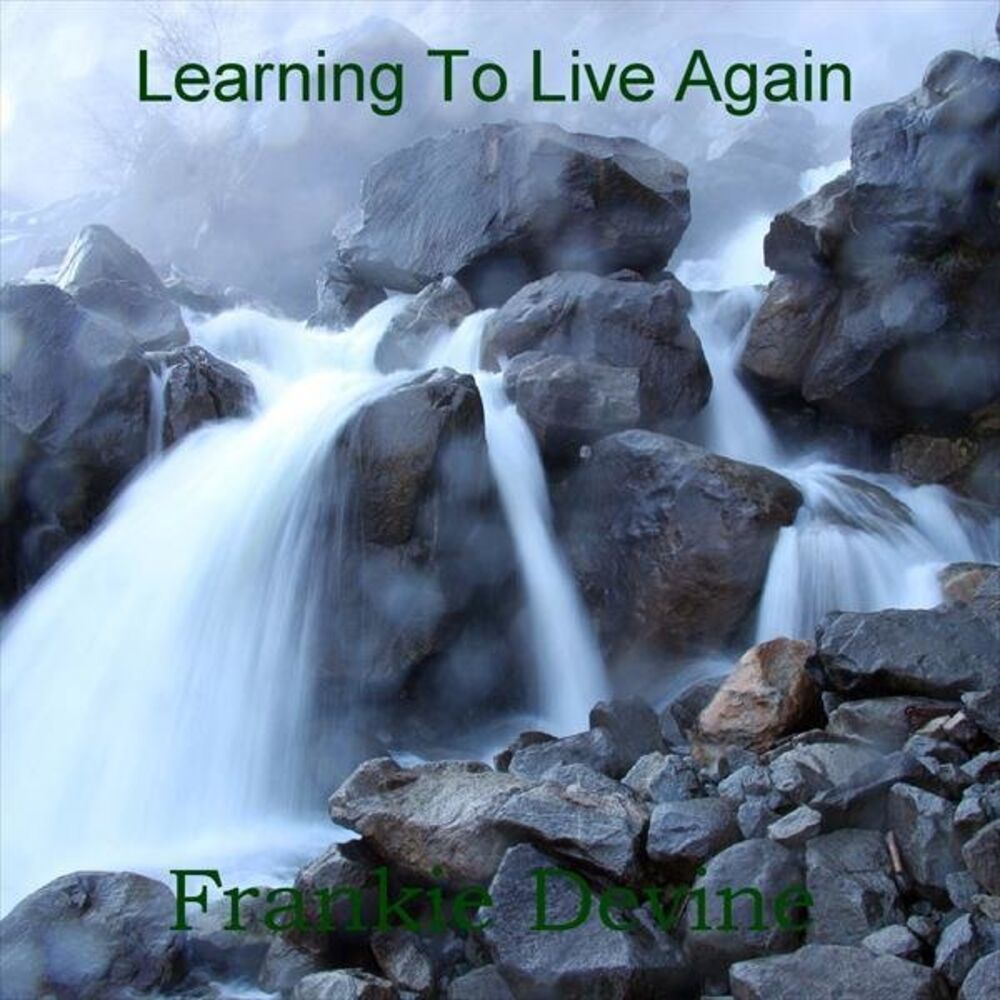 Picture of Learning To Live Again