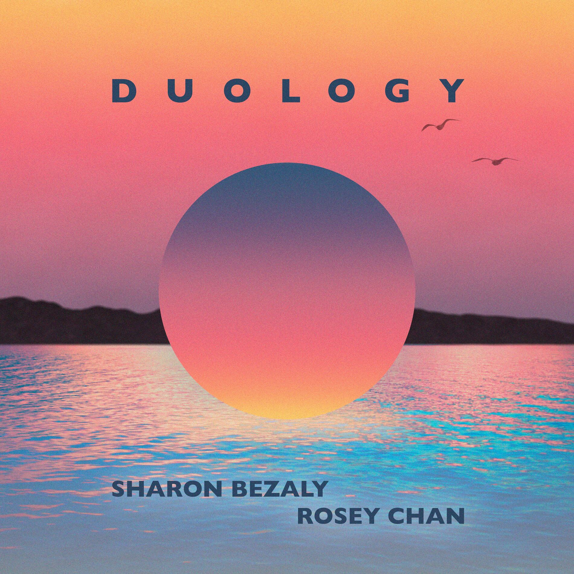 Album cover of Duology