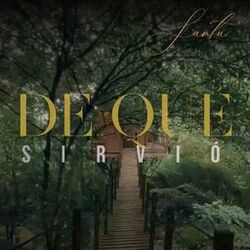 Cover of De Que Sirvió