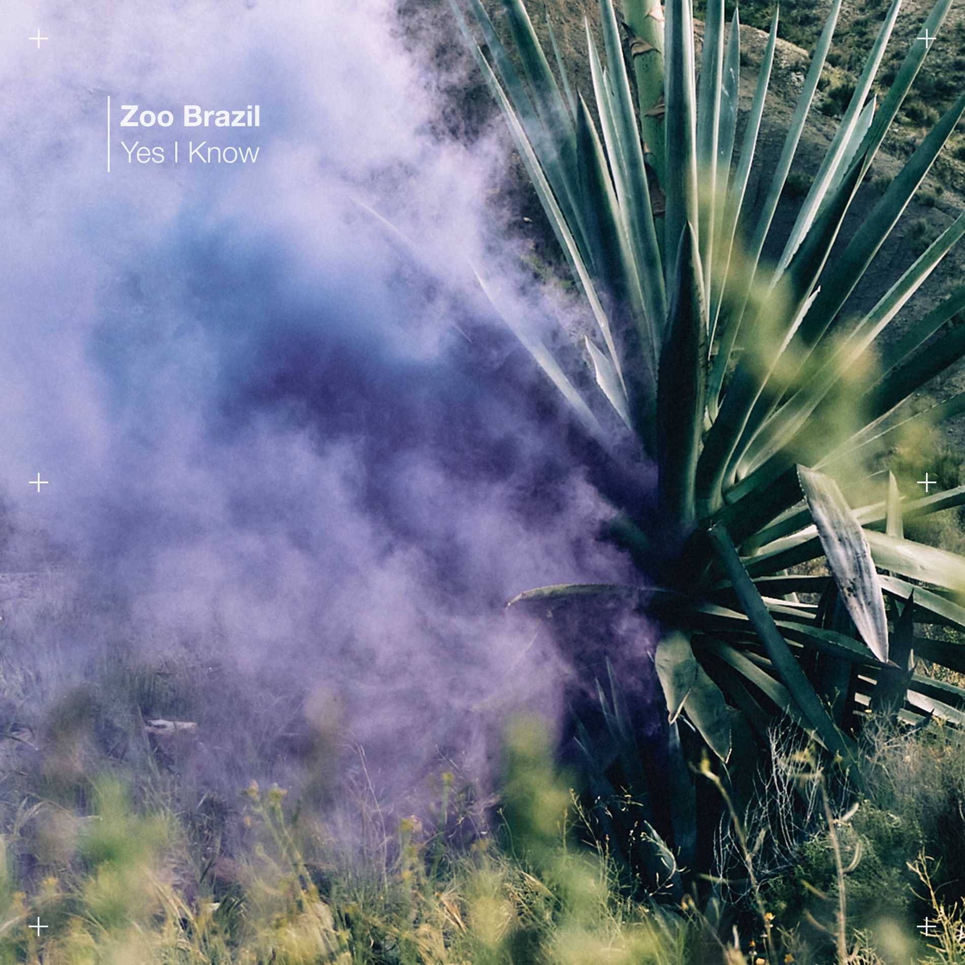 Album cover of Yes I Know