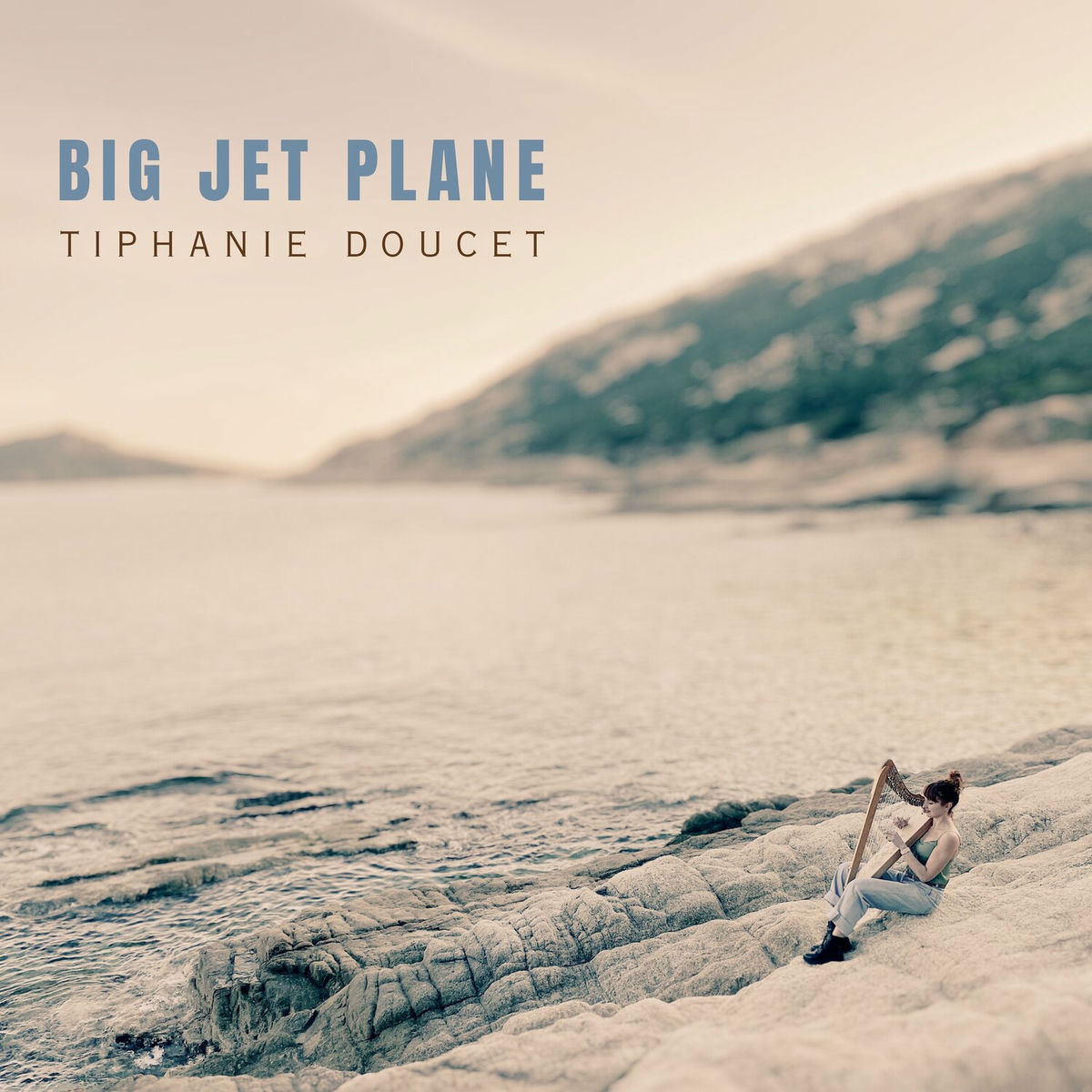 Album cover of Big Jet Plane