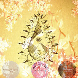 Cover of The Story Of Marsha Lotus