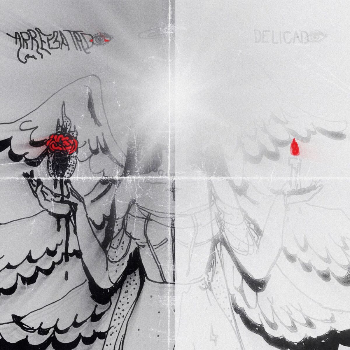 Album cover of Delicado/Arrebatado
