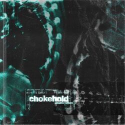 Cover of chokehold