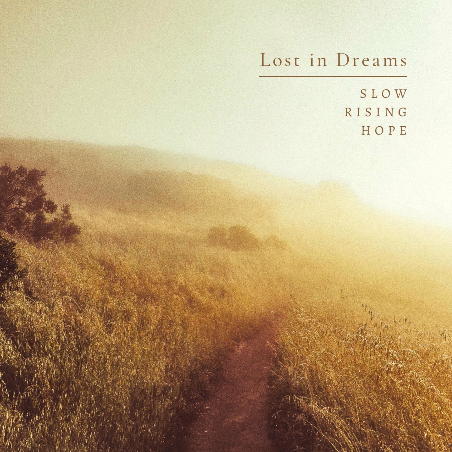 Album cover of Lost in Dreams
