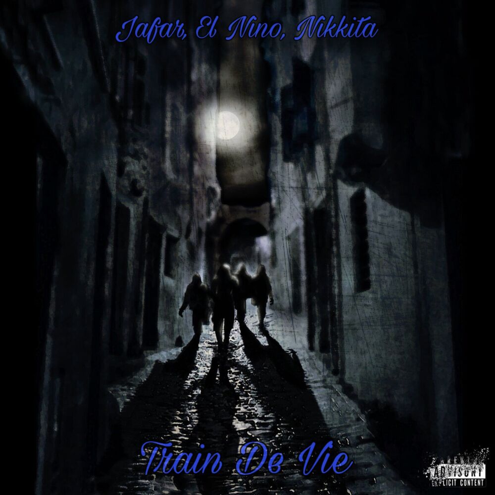 Picture of Train De Vie