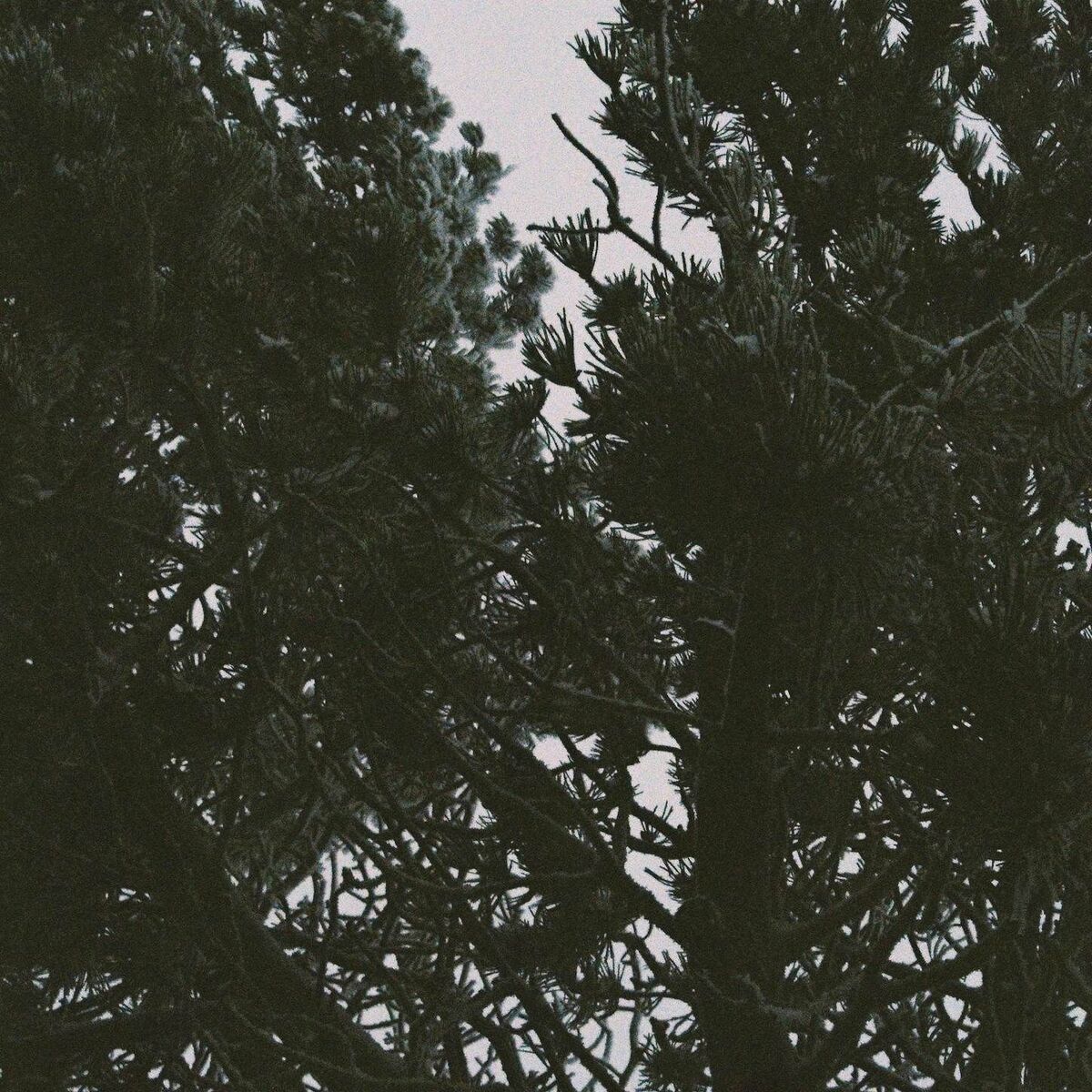 Album cover of Why’d you make it hurt