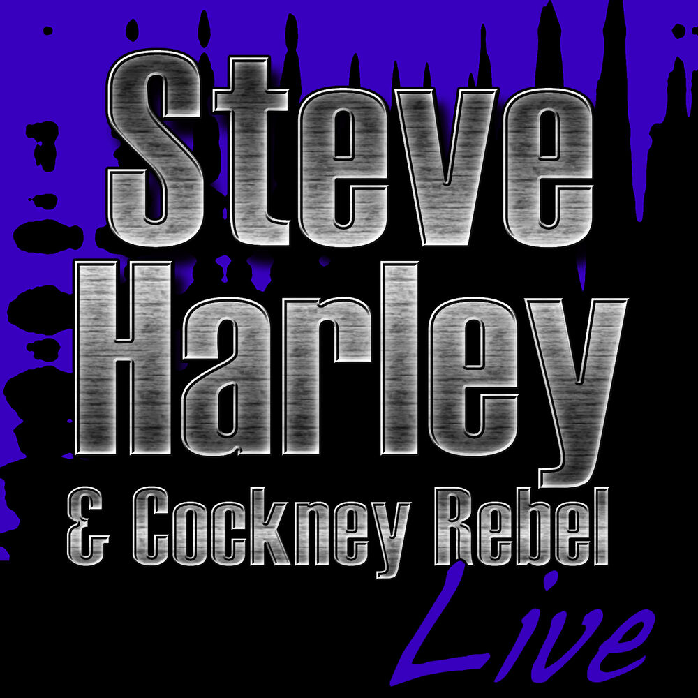 Picture of Steve Harley & Cockney Rebel Live