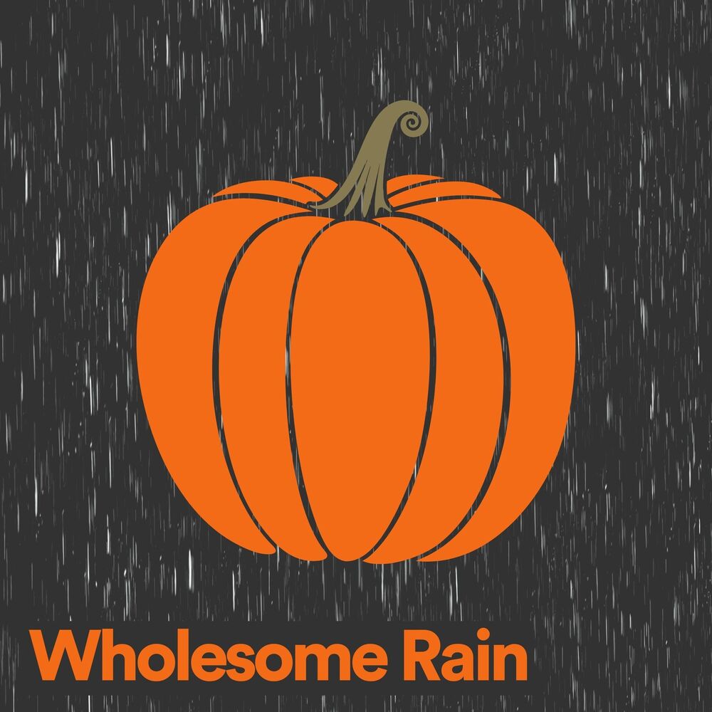 Picture of Wholesome Rain