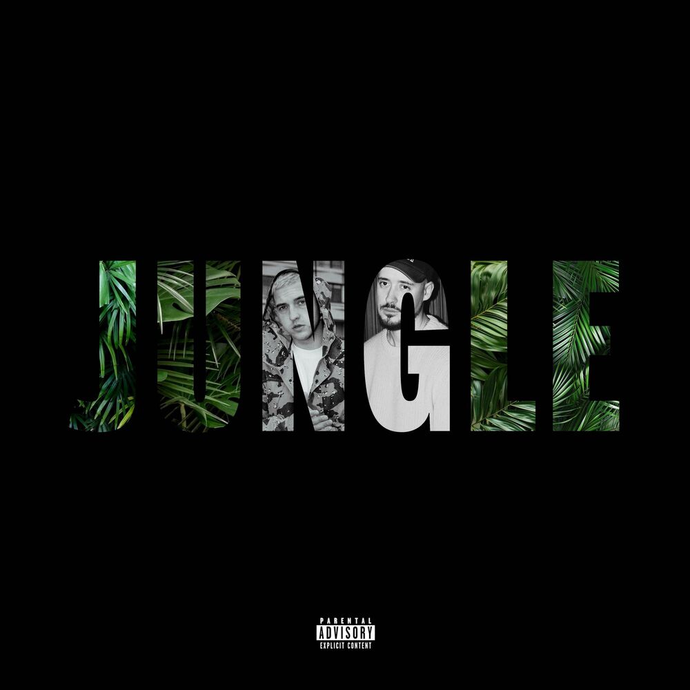 Picture of Jungle