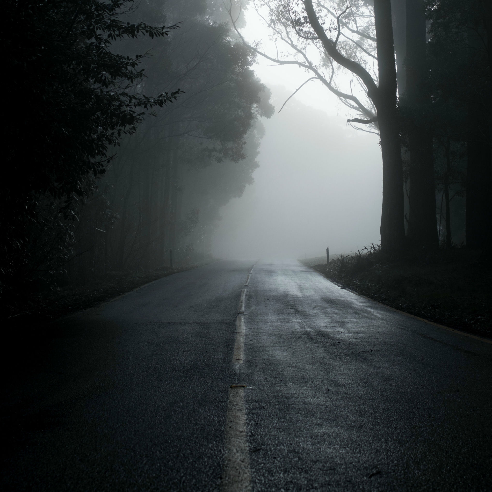 Album cover of HORRORS