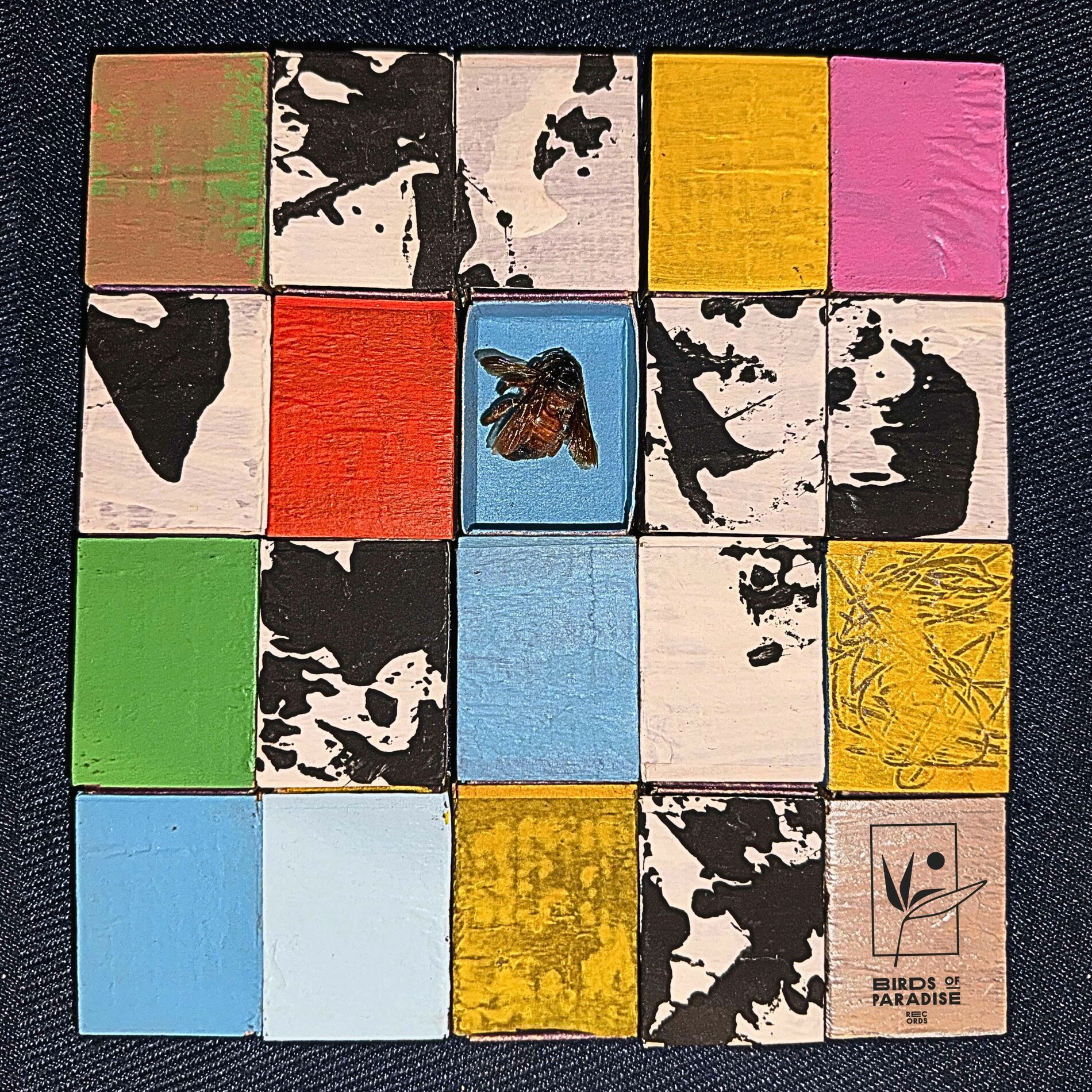 Album cover of Rise