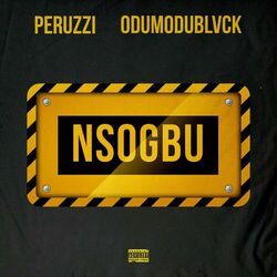 Cover of Nsogbu