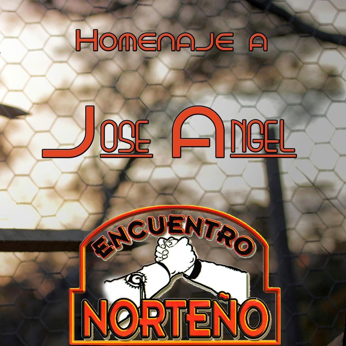 Album cover of Homenaje a José Angel