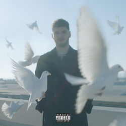 Cover of Soul Searching