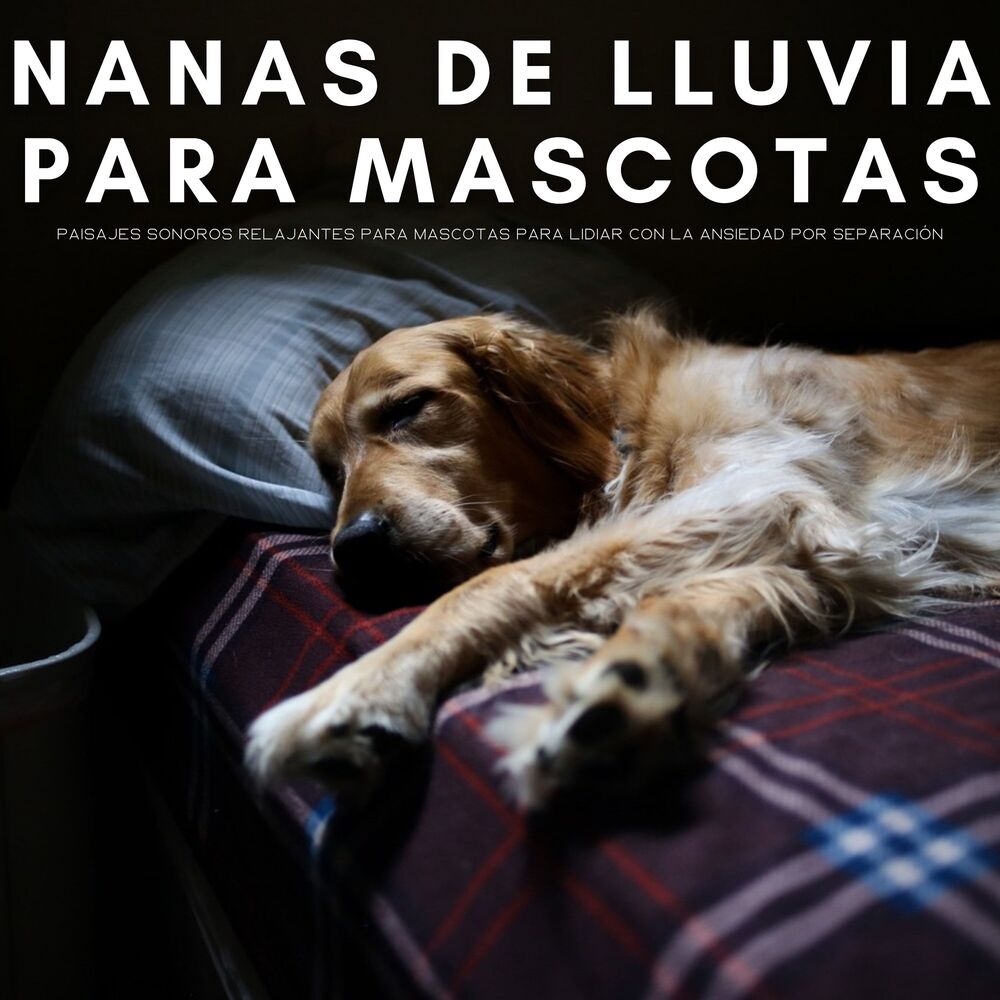 Picture of Nanas De Lluvia Para Mascotas: Paisajes Sonoros Relajantes Para Mascotas Para Lidiar Con La Ansiedad Por Separación
