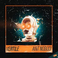 Cover of Ain't Nobodi