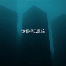 Cover of 你看的见黑暗