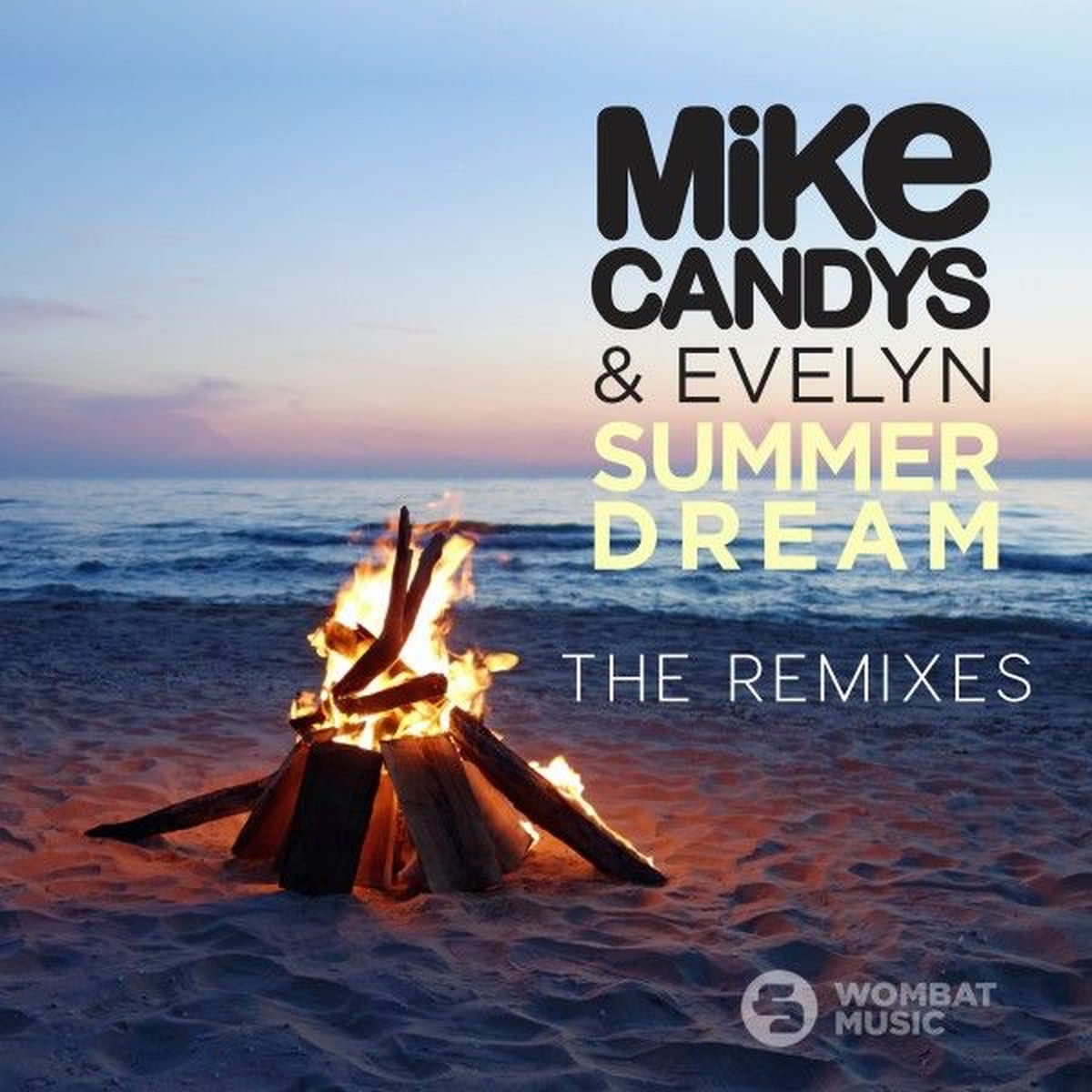 Album cover of Summer Dream