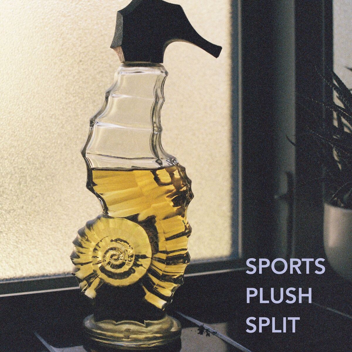 Album cover of Remember Sports / Pllush Split
