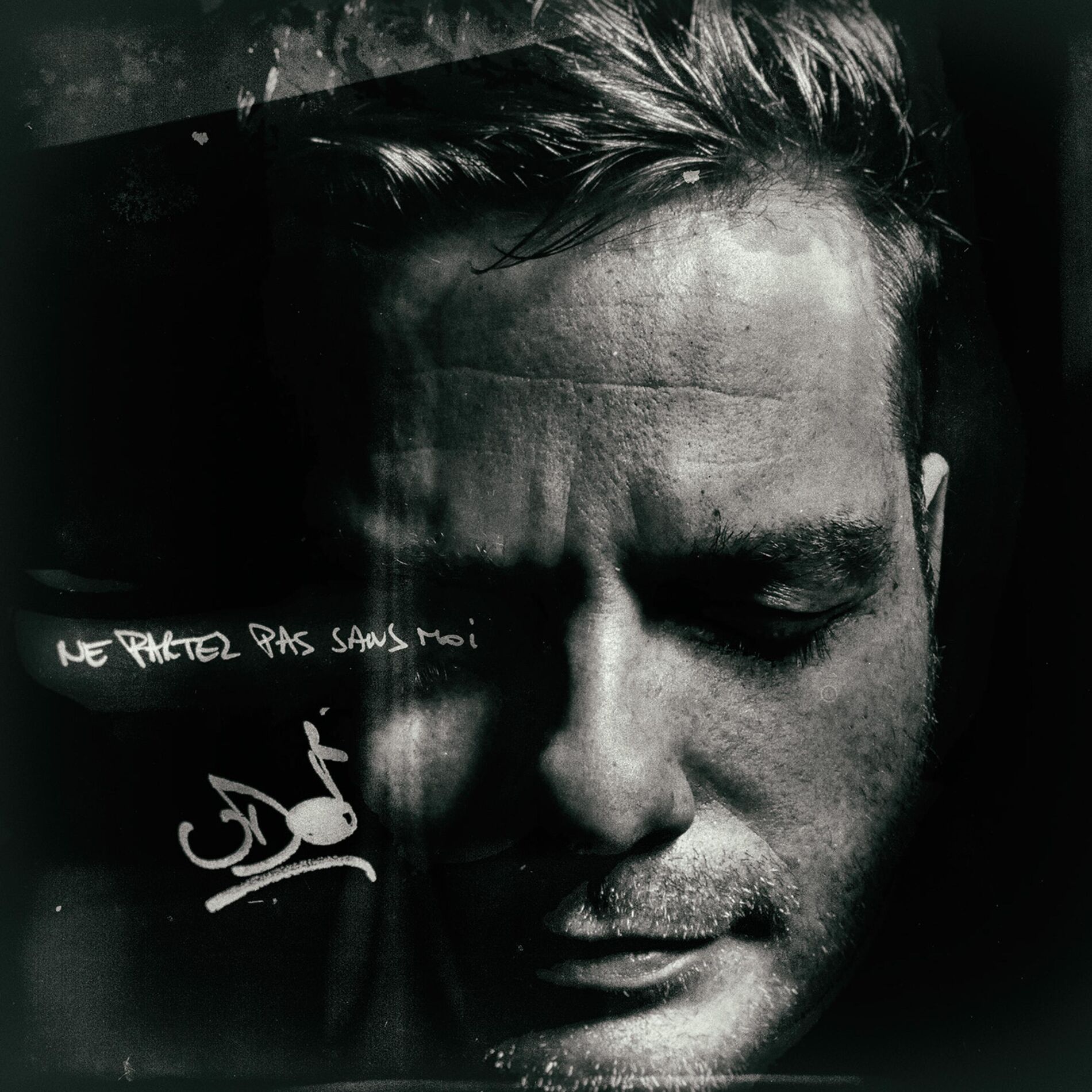 Album cover of Ne Partez Pas Sans Moi