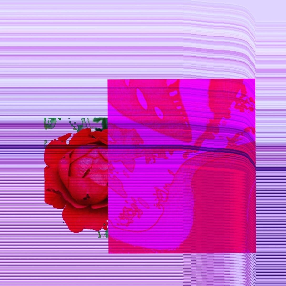 Album cover of Fall For You