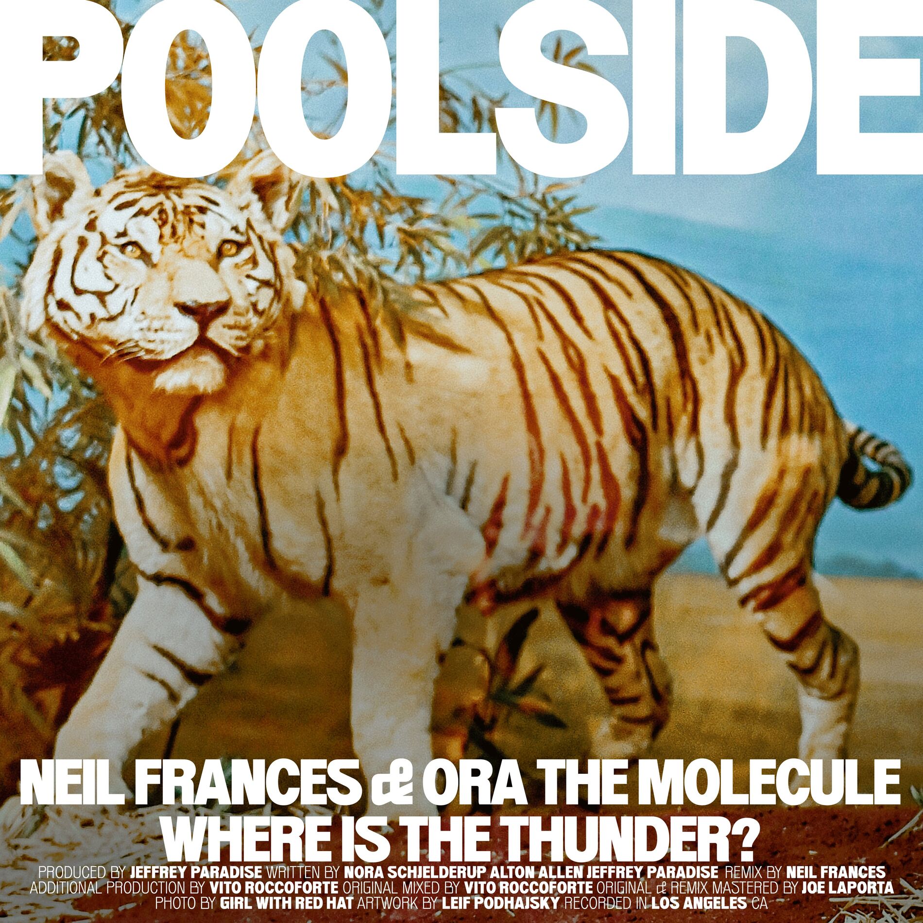 Album cover of Where Is The Thunder? (NEIL FRANCES Remix)