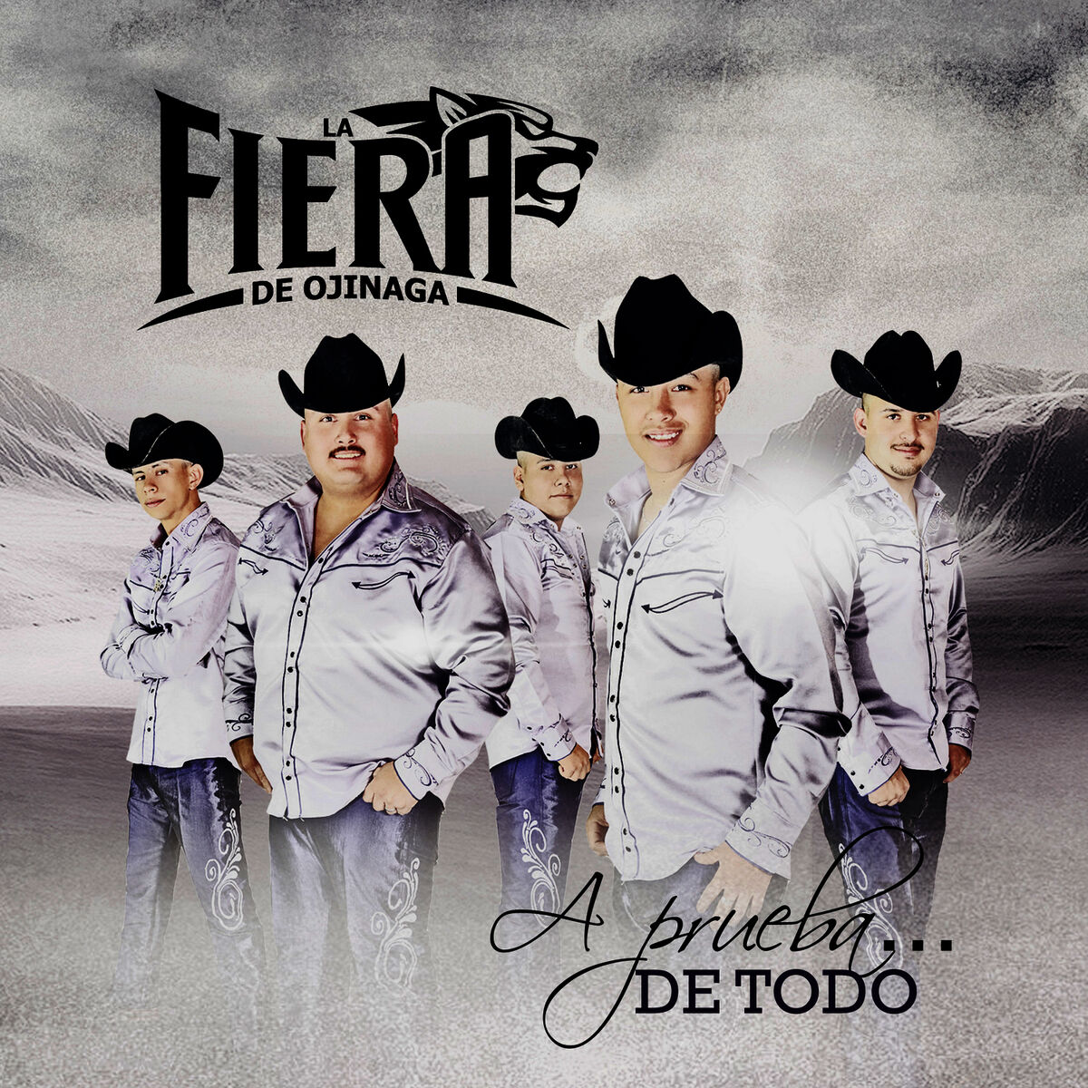 Album cover of A Prueba...De Todo