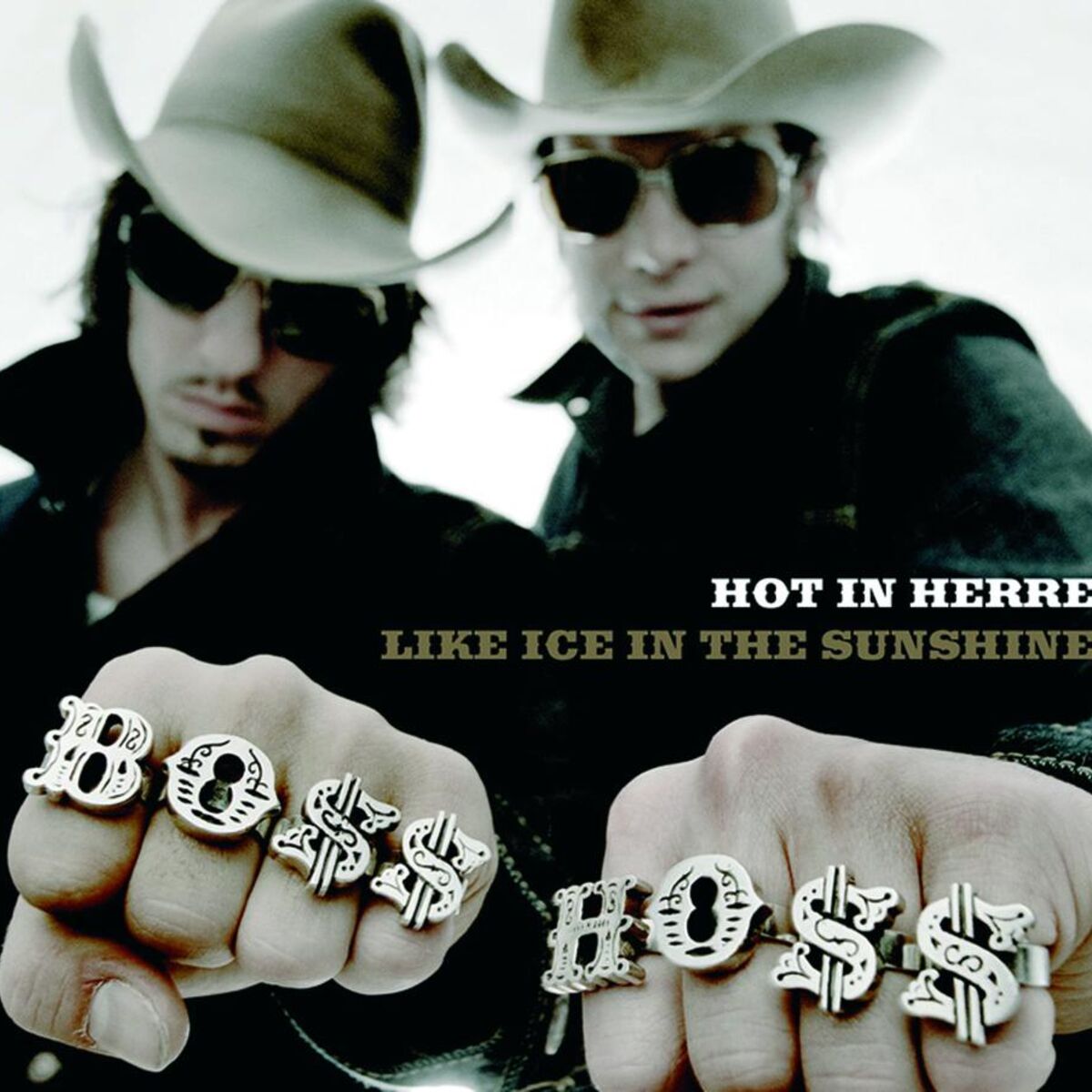 Album cover of Hot In Herre/ Like Ice In The Sunshine