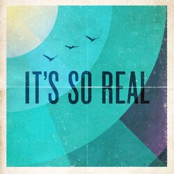 Cover of It's so Real