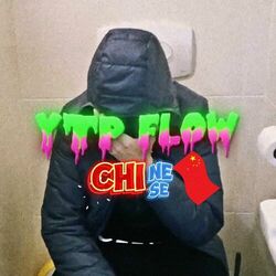 Cover of YTP FLOW CHINESE (LAZER CHEN 700)