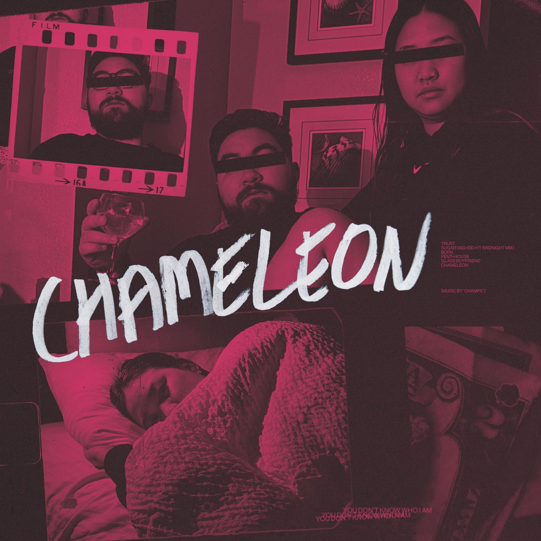 Album cover of Chameleon EP
