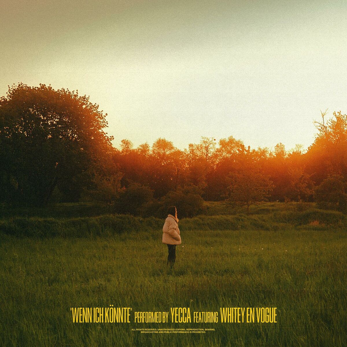 Album cover of WENN ICH KÖNNTE